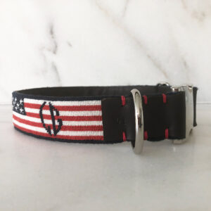 A dog collar with an american flag design.
